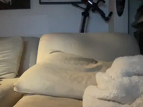 Snapshot of dddasani chatting on October 17, 2025, 8:32 pm dddasani online show from October 17, 2025, 8:32 pm