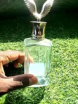 BlackhorseBBC online show from February 18, 2026, 6:33 am