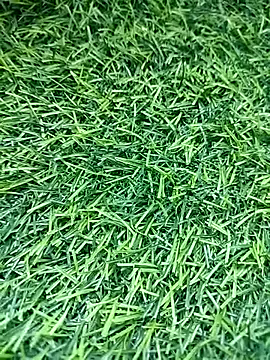 BlackhorseBBC online show from March 14, 2026, 9:48 am