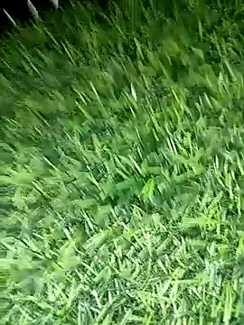 BlackhorseBBC online show from April 12, 2026, 8:50 am