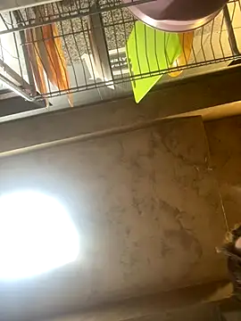 Anyssia online show from December 1, 2025, 5:08 am