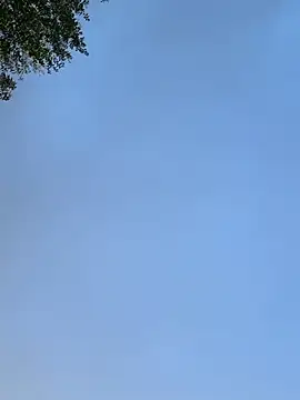 raen001 online show from November 24, 2025, 8:47 am