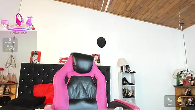 D Martii online show from November 13, 2025, 12:42 pm