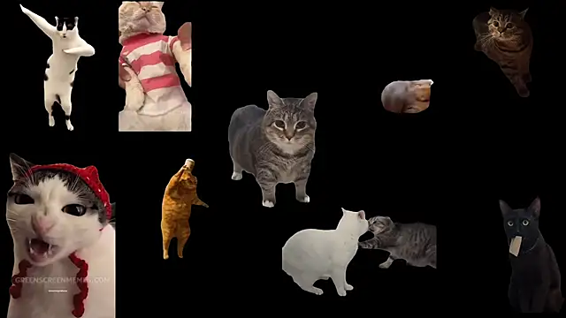 ch0wn m online show from October 24, 2025, 10:47 am