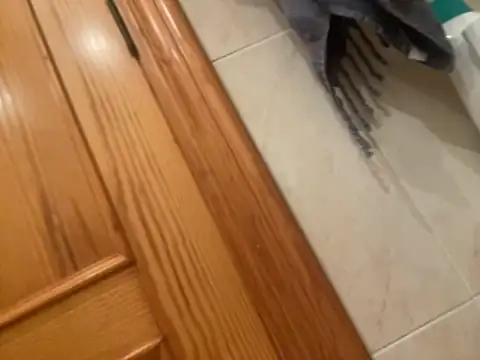 Guillermoperujo online show from November 1, 2025, 7:13 am