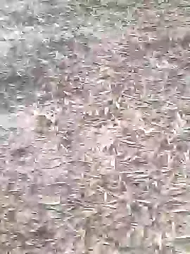 sonotutto online show from October 16, 2025, 8:11 am