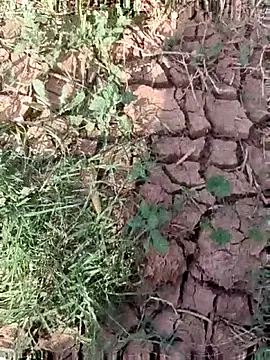 sonotutto online show from October 15, 2025, 8:33 am