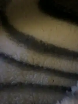 Simon-xx online show from February 15, 2026, 3:40 am