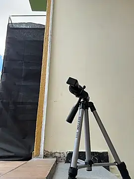 Scarlett fiire online show from November 8, 2025, 4:10 pm