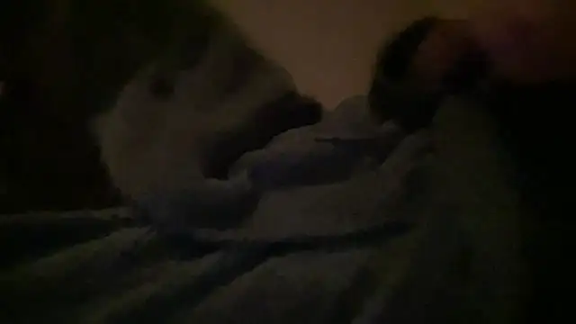 peterpapiNL online show from March 31, 2026, 7:16 pm