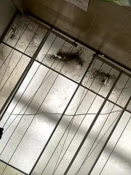 Sallem Pink online show from January 16, 2026, 11:25 am