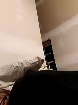 Snapshot of dandonn chatting on January 25, 2025, 6:34 am dandonn online show from January 25, 2025, 6:34 am