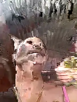 Rous-squir online show from January 7, 2026, 7:08 pm