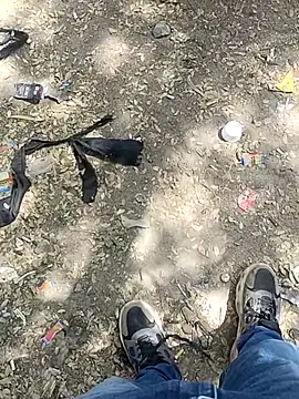 indian pavi online show from February 3, 2026, 7:24 am