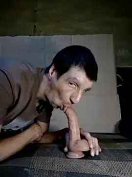 N i k o l a u online show from February 25, 2026, 1:44 pm