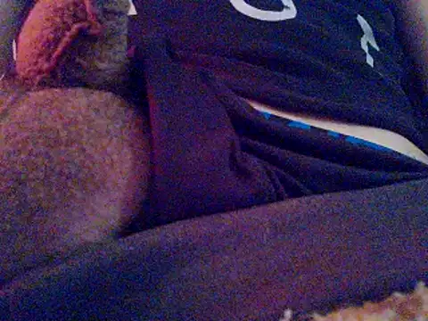 PenerPanShibari online show from November 4, 2025, 4:11 pm