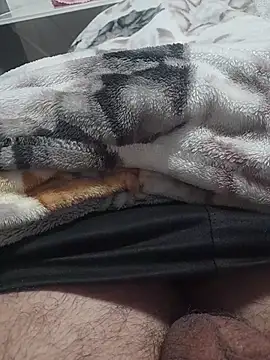 ratoncito 3 online show from March 17, 2026, 11:46 am