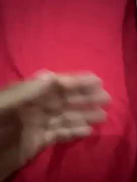 fuegoenlacama online show from November 24, 2025, 2:55 am