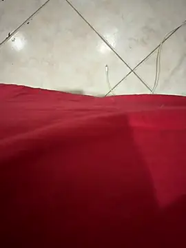 fuegoenlacama online show from February 4, 2026, 11:44 pm