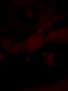 Snapshot of sarahkat86 chatting on February 20, 2026, 6:26 am sarahkat86 online show from February 20, 2026, 6:26 am