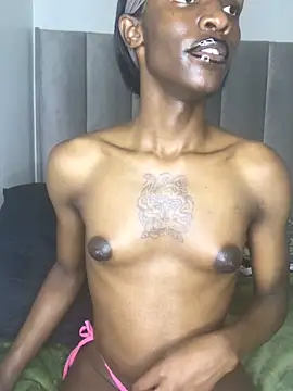 Snapshot of Trans_fairy chatting on October 9, 2025, 6:19 pm Trans fairy online show from October 9, 2025, 6:19 pm