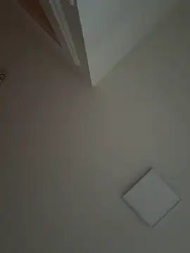 Gipsyboysteve online show from November 16, 2025, 3:17 pm