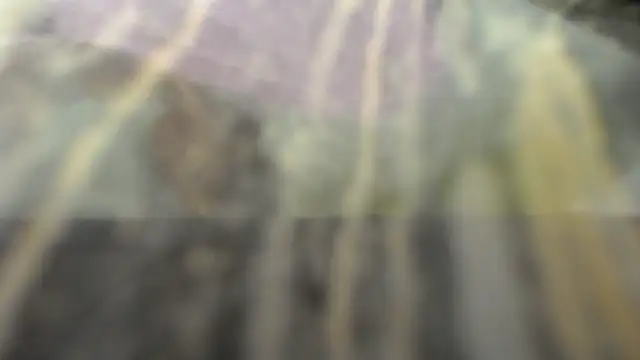 Snapshot of habdiela chatting on October 28, 2025, 4:46 am habdiela online show from October 28, 2025, 4:46 am