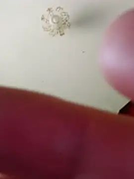 bullut06 online show from February 10, 2026, 10:25 am