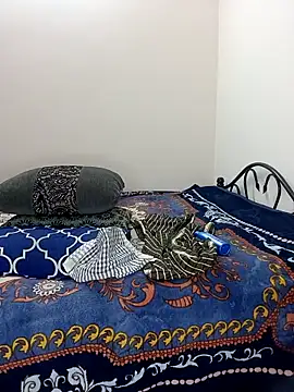 Chadni kannada online show from February 28, 2026, 4:50 pm