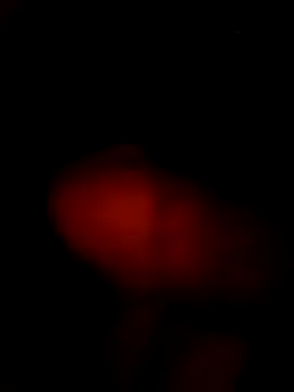 Snapshot of StatingBrigade chatting on February 8, 2026, 12:08 am StatingBrigade online show from February 8, 2026, 12:08 am