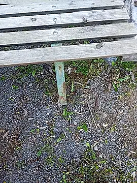 fickfreund019 online show from May 1, 2026, 8:41 am