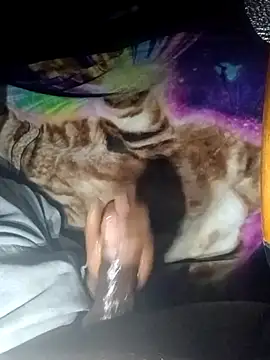 ANDACONDA-PYTHON online show from November 2, 2025, 11:59 am