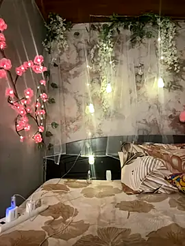 lily 5911 online show from November 20, 2025, 6:08 pm