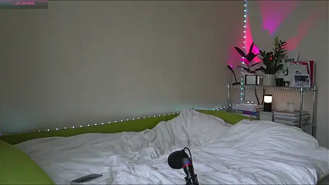 BoyTurtle online show from November 9, 2025, 11:14 am