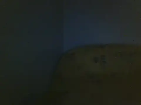 Aranox098 online show from November 23, 2025, 2:54 am