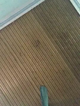 Snapshot of themchichnhau123 chatting on November 19, 2025, 4:23 am themchichnhau123 online show from November 19, 2025, 4:23 am