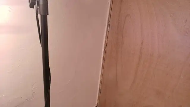 Terraelowen online show from March 15, 2026, 11:17 am