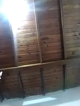 solpeich online show from February 28, 2026, 1:33 pm