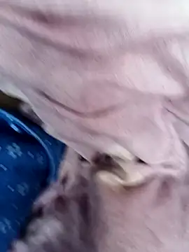 Snapshot of Hrnyallthetime chatting on November 27, 2025, 7:31 am Hrnyallthetime online show from November 27, 2025, 7:31 am