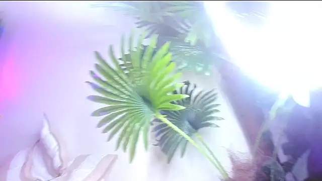 Angel superhuge online show from November 18, 2025, 8:23 pm