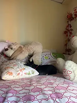 Snapshot of MiaRousexxx_ chatting on November 26, 2025, 8:31 pm MiaRousexxx online show from November 26, 2025, 8:31 pm