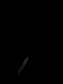 monty935 online show from November 30, 2025, 1:23 pm