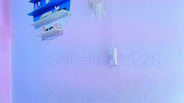 MiSofialeal online show from May 13, 2026, 5:53 pm