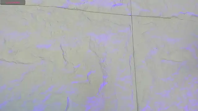 CarolineLee  online show from February 11, 2026, 10:42 pm