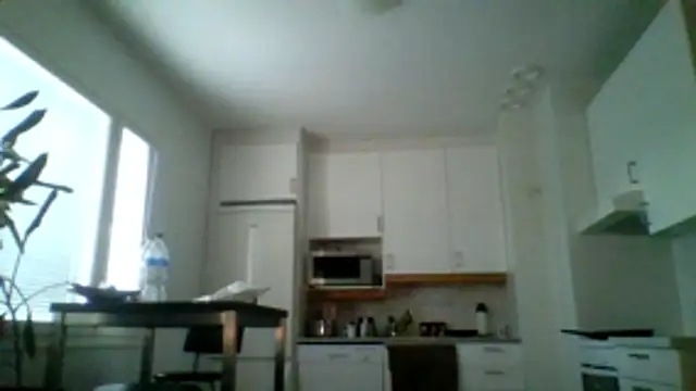 Snapshot of Silverhippo chatting on May 20, 2026, 6:16 pm Silverhippo online show from May 20, 2026, 6:16 pm