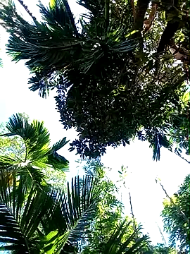 Johlrd online show from November 19, 2025, 5:18 am