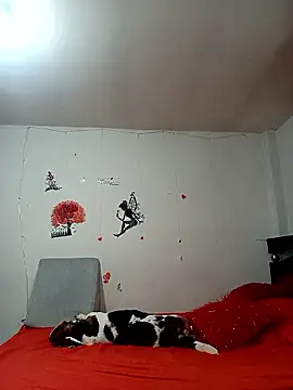 Lady 16 online show from January 6, 2026, 1:53 am