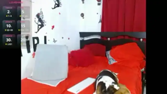 Lady 16 online show from March 22, 2026, 3:21 am