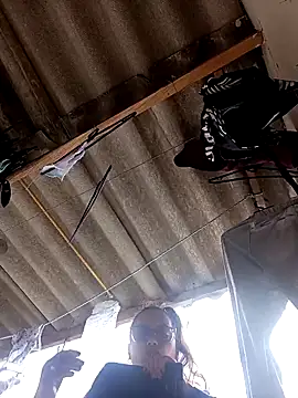 Snapshot of Lady_16 chatting on November 8, 2025, 4:54 pm Lady 16 online show from November 8, 2025, 4:54 pm