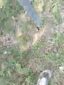 Snapshot of pegaso369 chatting on July 24, 2026, 11:50 am pegaso369 online show from July 24, 2026, 11:50 am